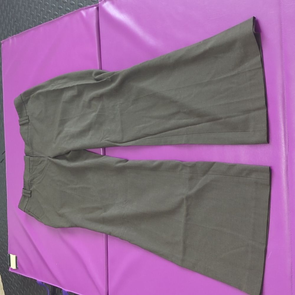 Ann Taylor loft pants